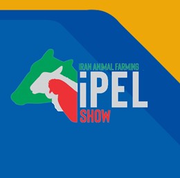 iPEL Show