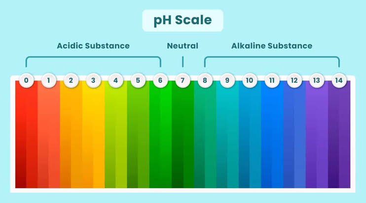 pH of sodium bicarbonate