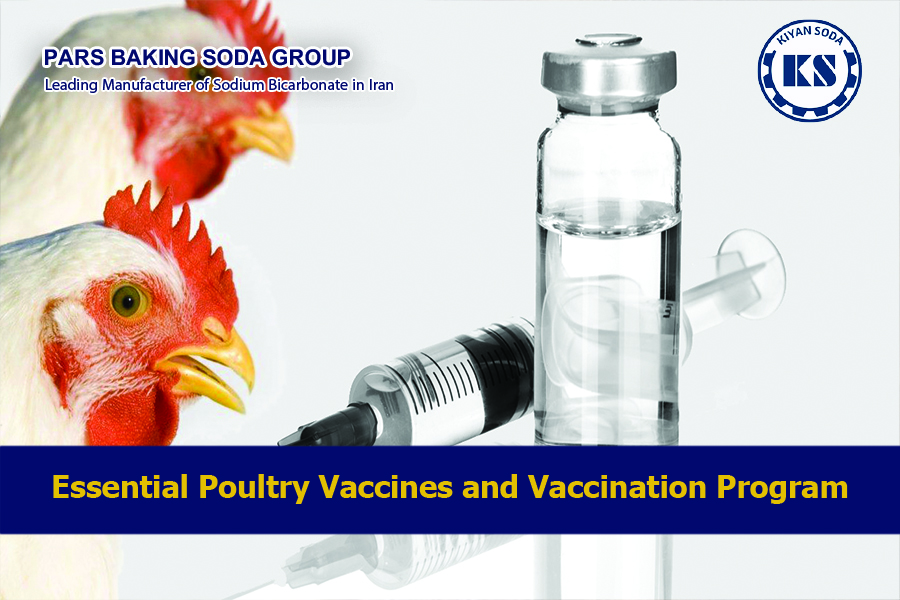 poultry vaccination program