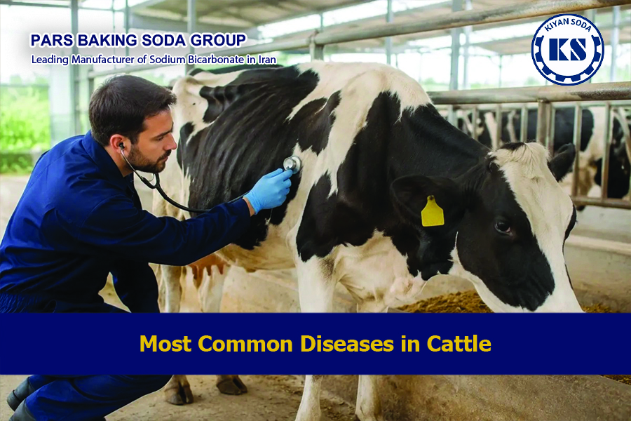 Most Common Diseases in Cattle