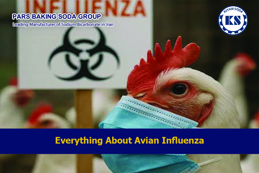 Avian Influenza