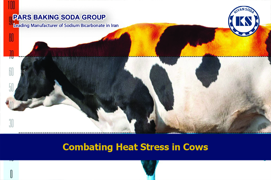 Heat stress in cows
